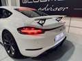 Porsche Cayman GT4 Blanco - thumbnail 24