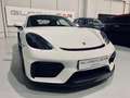 Porsche Cayman GT4 Blanco - thumbnail 22
