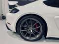 Porsche Cayman GT4 Blanco - thumbnail 32