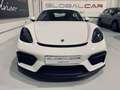 Porsche Cayman GT4 Blanco - thumbnail 28