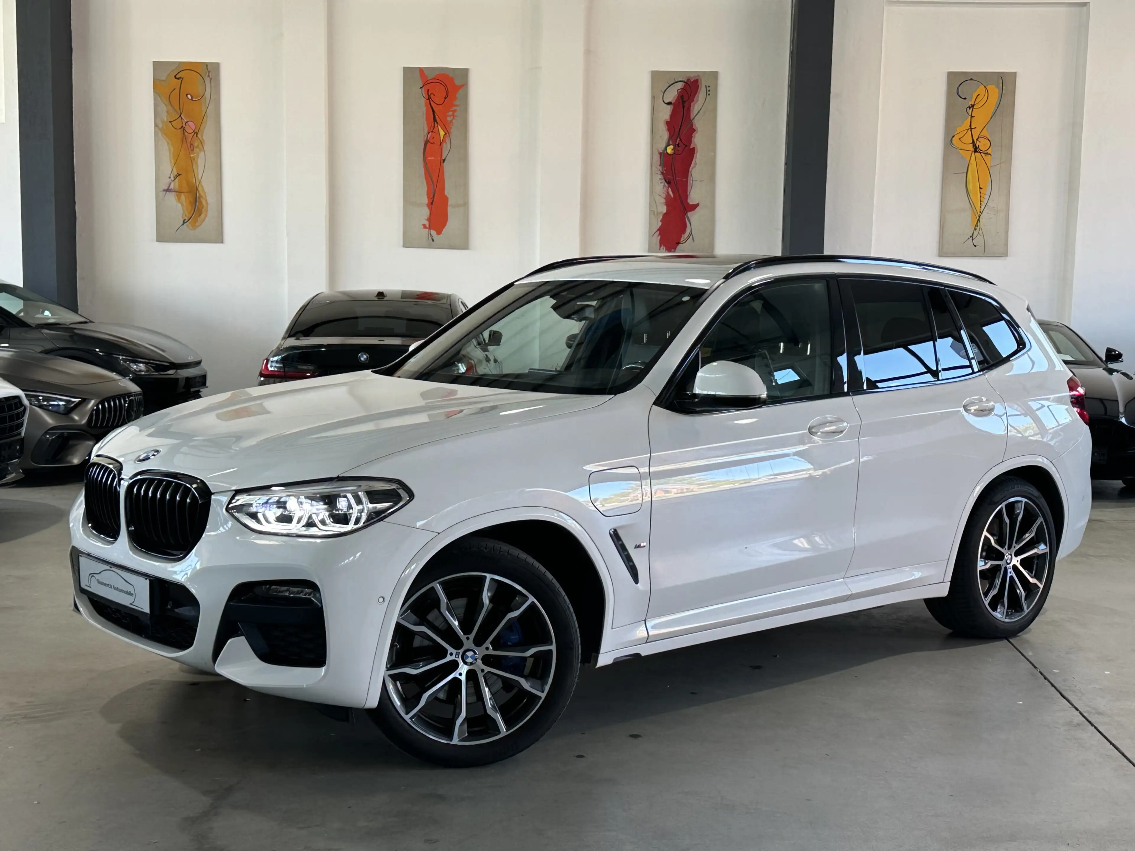 BMW X3 xDrive 30e M Sport Laser Pano HUD AHK ACC 20