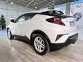 Toyota C-HR 1.8 Hybrid E-CVT Business Bianco - thumbnail 4