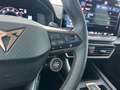 CUPRA Formentor 1.5 eTSI*NAVI*SHZ*RFK*uvm Blau - thumbnail 18