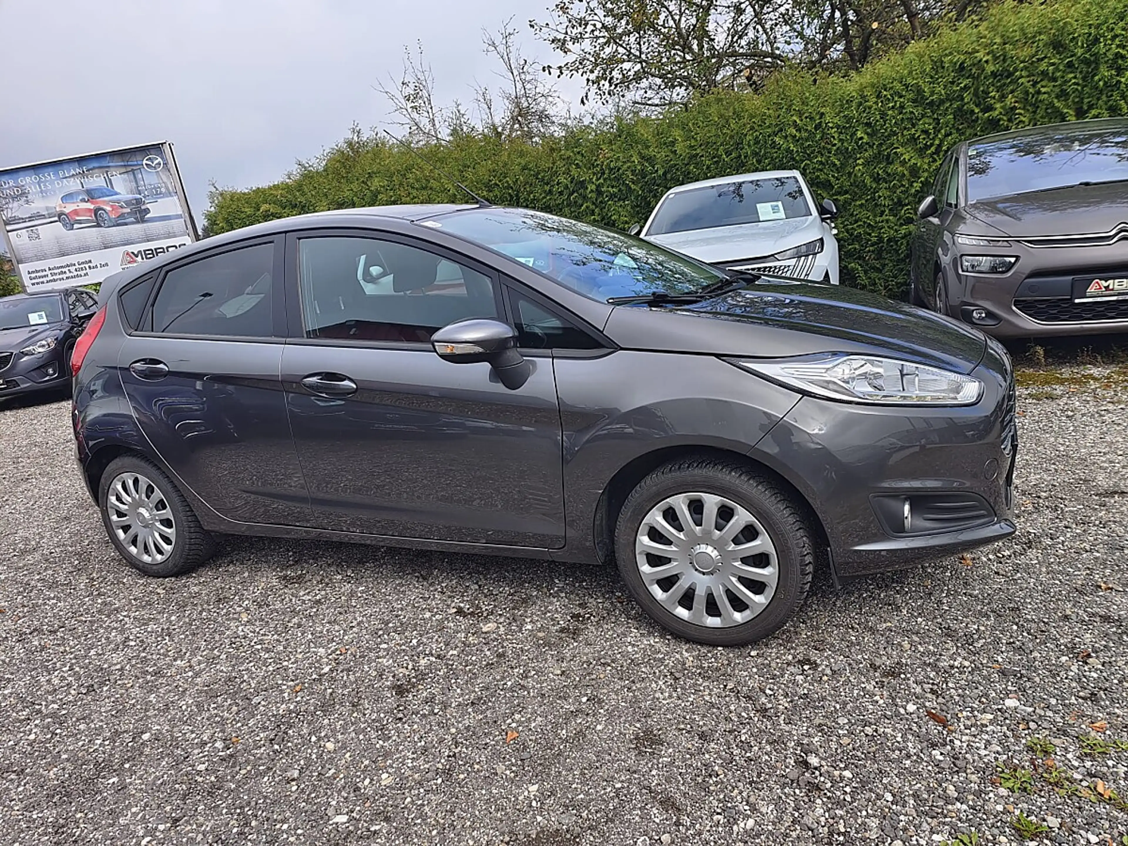 Ford Fiesta Trend 1,25 — photo 5