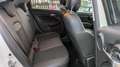 Fiat 500X T3 CONNECT 1.0cc 120cv LANE ASSIST CRUISE CONTROL Weiß - thumbnail 13