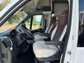 Chausson Welcome 610 Wit - thumbnail 12