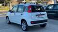 Fiat Panda Panda 0.9 t.air t. natural power Easy Bianco - thumbnail 4