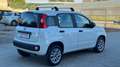 Fiat Panda Panda 0.9 t.air t. natural power Easy Bianco - thumbnail 3
