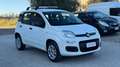 Fiat Panda Panda 0.9 t.air t. natural power Easy Bianco - thumbnail 2