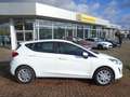 Ford Fiesta Cool & Connect , Winterpaket ,Ganzjahresreifen ! Weiß - thumbnail 5