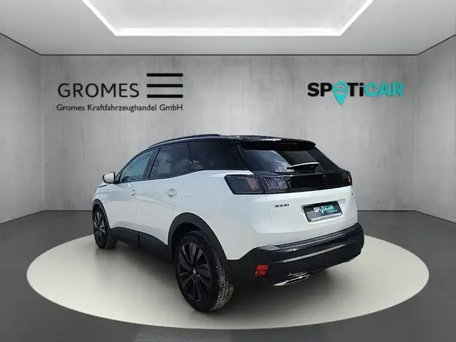 Peugeot 3008 view 5