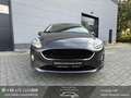 Ford Fiesta Cool & Connect Navi PDC SHZ AppleCarplay Gris - thumbnail 17