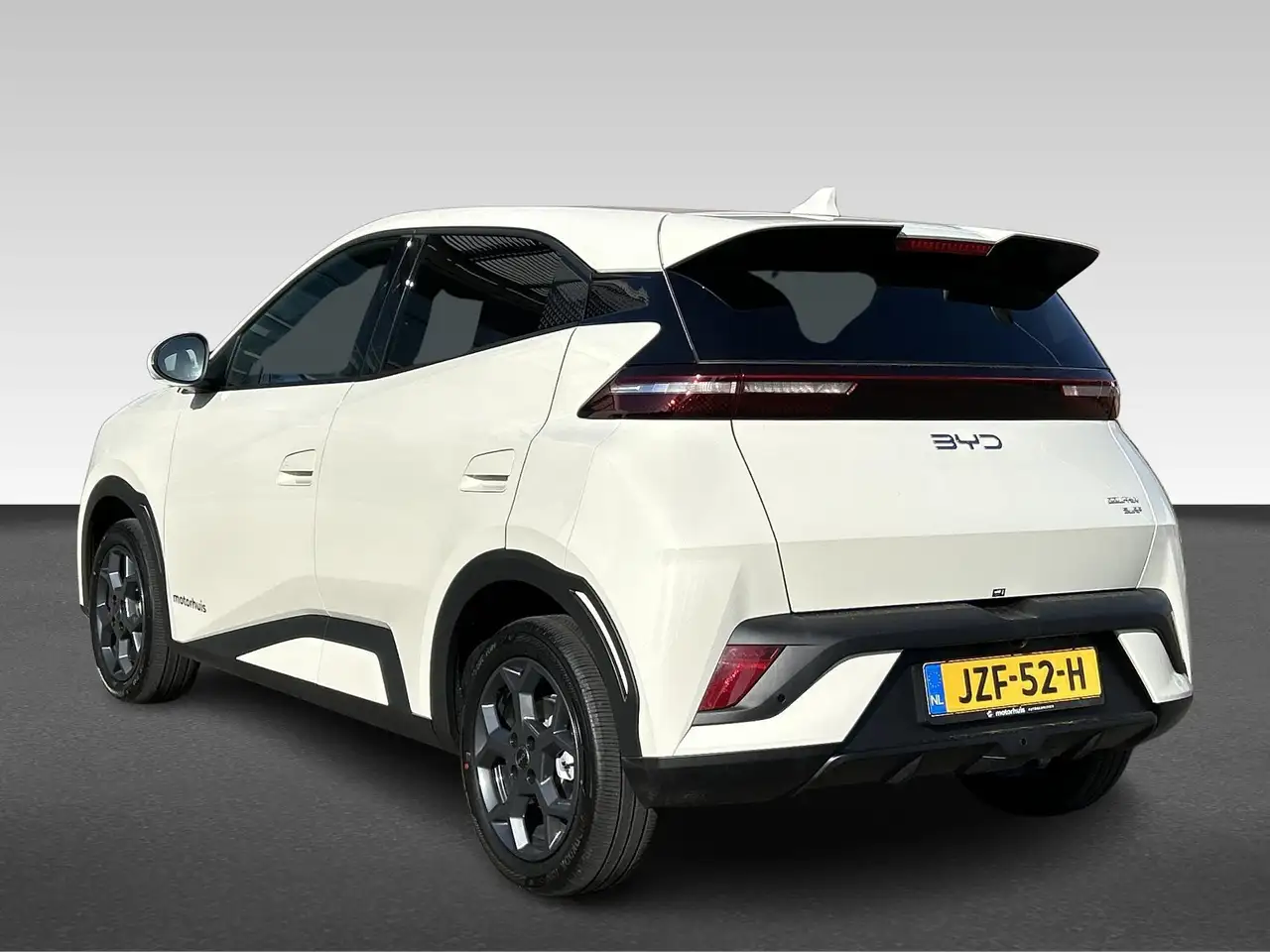 BYD Dolphin Surf 2026
