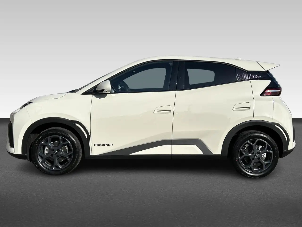BYD Dolphin Surf 2026
