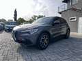 Alfa Romeo Stelvio 2.0 t Executive Q4 200cv auto Grigio - thumbnail 2