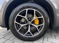 Alfa Romeo Stelvio 2.0 t Executive Q4 200cv auto Grigio - thumbnail 15