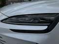 BYD Seal U DM-i Comfort Weiß - thumbnail 4