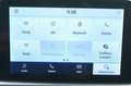 Ford Focus Focus 1,0 mHEV ST-Line *-34,9% Assist+Family+Winte Grau - thumbnail 14