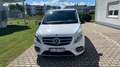 Mercedes-Benz V 250 AMG-Avantgarde SCHTANDHEIZUNG 360°KAM  7G-TRONIC Weiß - thumbnail 1