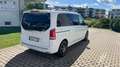 Mercedes-Benz V 250 AMG-Avantgarde SCHTANDHEIZUNG 360°KAM  7G-TRONIC Weiß - thumbnail 5