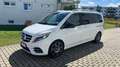 Mercedes-Benz V 250 AMG-Avantgarde SCHTANDHEIZUNG 360°KAM  7G-TRONIC Weiß - thumbnail 2