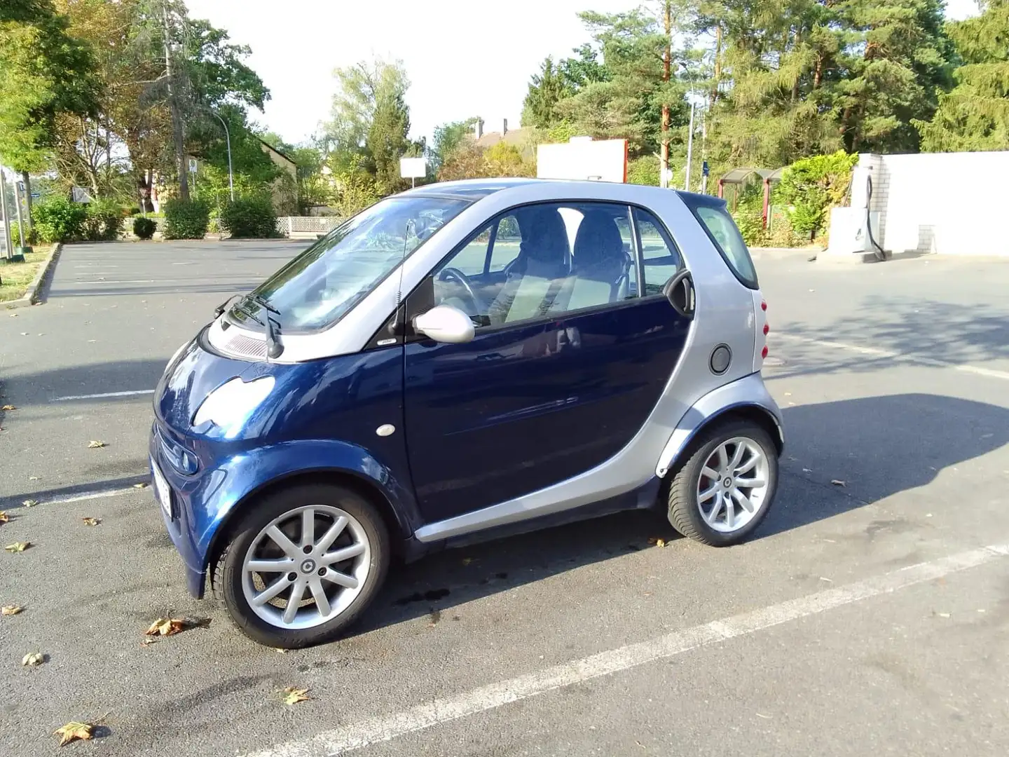 smart Sonstige Blau - 1