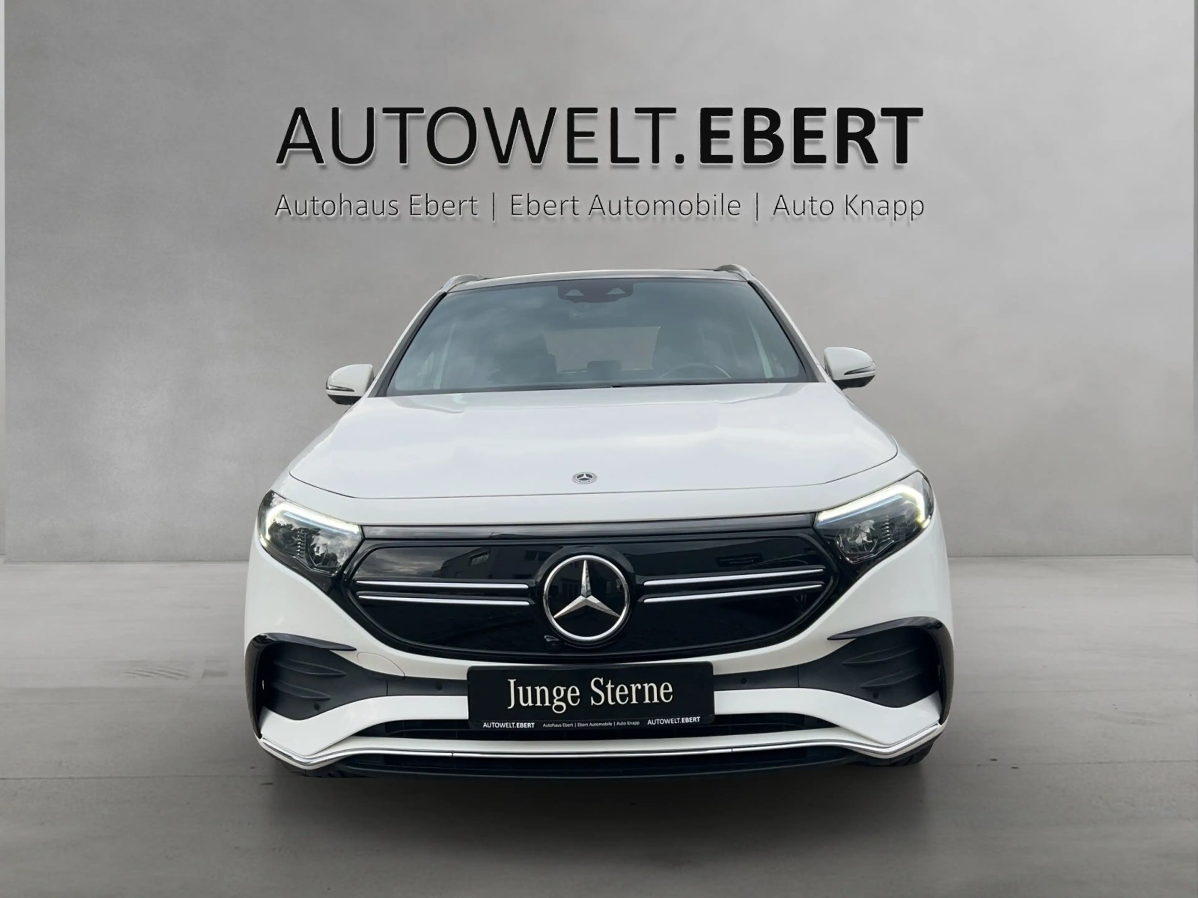 Mercedes-Benz EQA 250 AMG Pano DISTRO Memo LED Burme 360°KeyGo — photo 6