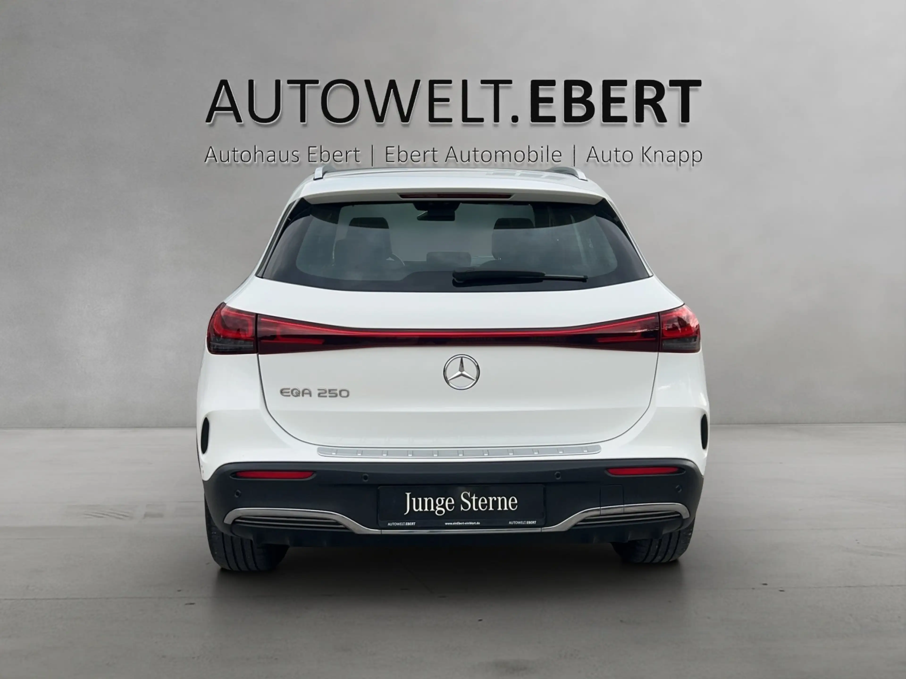 Mercedes-Benz EQA 250 AMG Pano DISTRO Memo LED Burme 360°KeyGo — photo 4