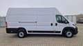 Fiat Ducato Ducato Blanc - thumbnail 4