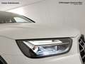 Audi Q5 40 2.0 tdi mhev 12v business advanced quattro s-tr Blanco - thumbnail 21