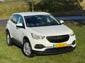 Opel Grandland X 1.2 Turbo Business Edition - Summit White - Camera Wit - thumbnail 29