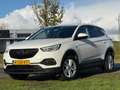 Opel Grandland X 1.2 Turbo Business Edition - Summit White - Camera Wit - thumbnail 2