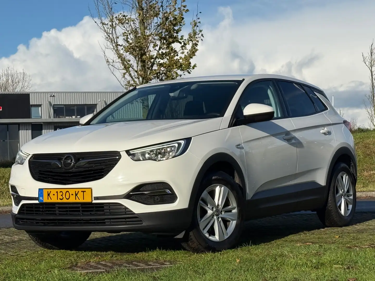 Opel Grandland X 1.2 Turbo Business Edition - Summit White - Camera Wit - 2
