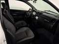 Aixam City Minauto, Sport, Carplay, Kubota, Mit Lieferung Alb - thumbnail 14