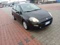 Fiat Punto Punto 5p 1.2 Lounge - thumbnail 14