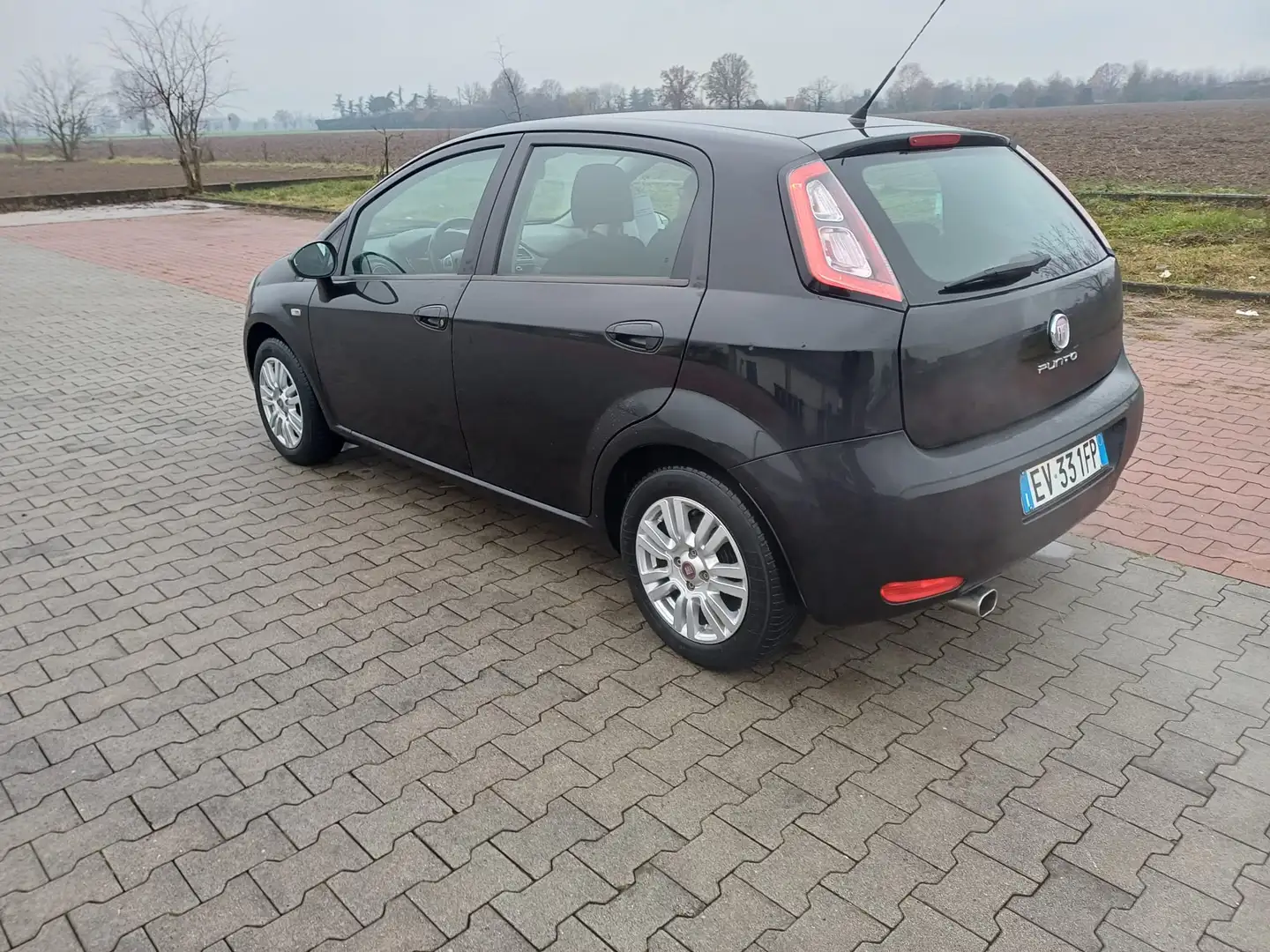 Fiat Punto Punto 5p 1.2 Lounge - 2