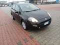 Fiat Punto Punto 5p 1.2 Lounge - thumbnail 15