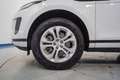 Land Rover Range Rover Evoque 2.0D MHEV S AWD Aut. 150 Blanco - thumbnail 11