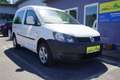 Volkswagen Caddy Trendline 4Motion Weiß - thumbnail 1