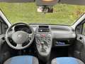 Fiat Panda Panda 1.4 natural power - CINGHIA NUOVA Alb - thumbnail 20