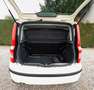 Fiat Panda Panda 1.4 natural power - CINGHIA NUOVA Alb - thumbnail 13