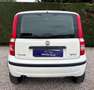 Fiat Panda Panda 1.4 natural power - CINGHIA NUOVA Alb - thumbnail 10