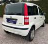 Fiat Panda Panda 1.4 natural power - CINGHIA NUOVA Alb - thumbnail 12