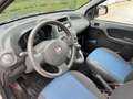 Fiat Panda Panda 1.4 natural power - CINGHIA NUOVA Alb - thumbnail 19