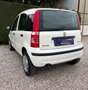 Fiat Panda Panda 1.4 natural power - CINGHIA NUOVA Alb - thumbnail 11