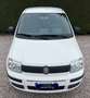 Fiat Panda Panda 1.4 natural power - CINGHIA NUOVA Alb - thumbnail 8