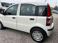 Fiat Panda Panda 1.4 natural power - CINGHIA NUOVA Alb - thumbnail 7