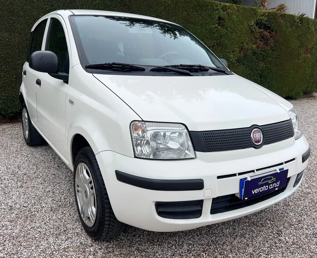 Fiat Panda Panda 1.4 natural power - CINGHIA NUOVA Blanc - 2