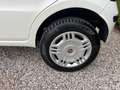 Fiat Panda Panda 1.4 natural power - CINGHIA NUOVA Alb - thumbnail 6
