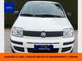 Fiat Panda Panda 1.4 natural power - CINGHIA NUOVA Alb - thumbnail 1